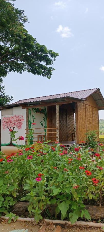 Kaewma Farmstay Khuang Kom Exterior photo