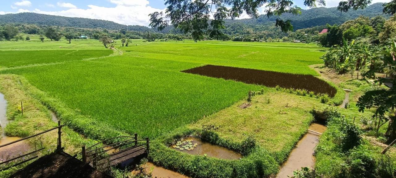 Kaewma Farmstay Khuang Kom Exterior photo